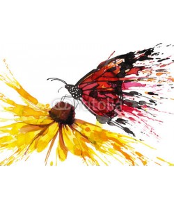 okalinichenko, Butterfly on the flower