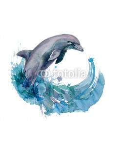 okalinichenko, dolphin