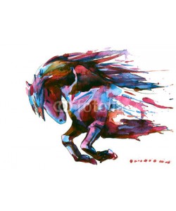 okalinichenko, horse