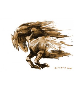 okalinichenko, horse
