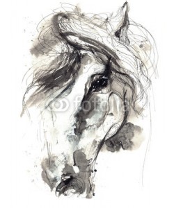 okalinichenko, horse