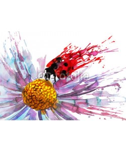 okalinichenko, ladybug on flower