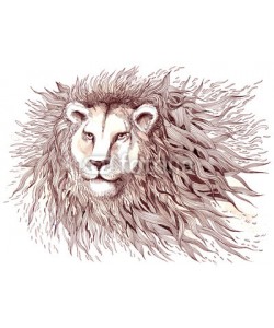 okalinichenko, lion