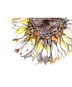 okalinichenko, sunflower