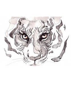 okalinichenko, tiger