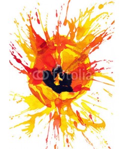 okalinichenko, tulip flower