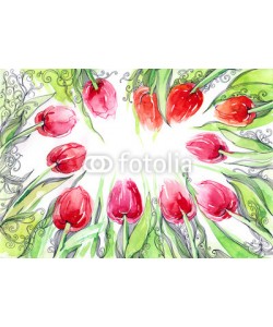 okalinichenko, tulips