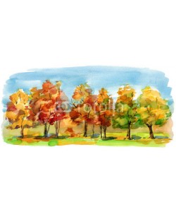 okalinichenko, autumn forest