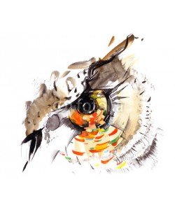 okalinichenko, bird's eye