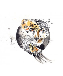 okalinichenko, cheetah