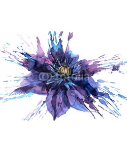 okalinichenko, clementine flower