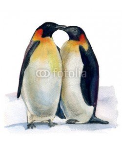 okalinichenko, couple of penguins