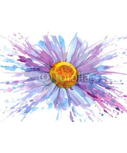 okalinichenko, daisy flower