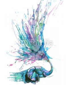 okalinichenko, elephant