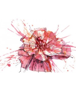 okalinichenko, flower