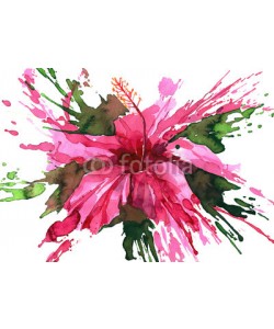 okalinichenko, hibiscus flower