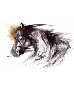 okalinichenko, horse