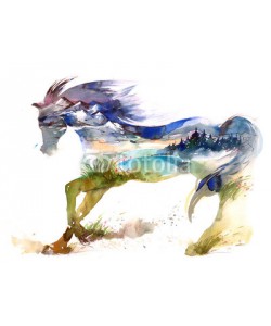 okalinichenko, horse