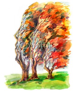 okalinichenko, human trees