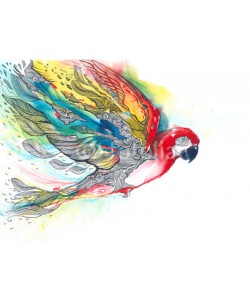 okalinichenko, parrot
