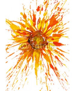 okalinichenko, sunflower