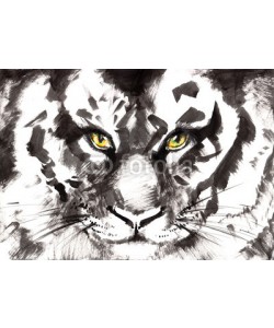 okalinichenko, tiger
