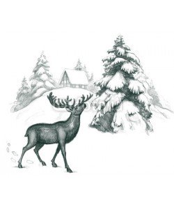 okalinichenko, winter deer