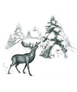 okalinichenko, winter deer