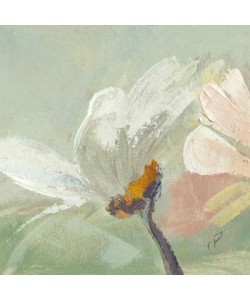 Parise Chantal, Pquerette II