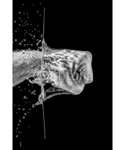 PETER LAKOMY, Splashing Fist
