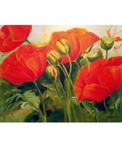 Petra Rüther, Mohnblüten III