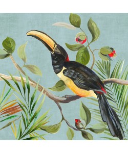 Aimee Wilson, Paradise Toucan II