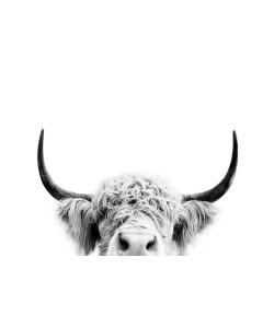 Sisi & Seb, Peek a Boo Cow