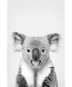 Sisi & Seb, Koala