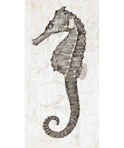 Christine Zalewski, Marble Sea Horse I