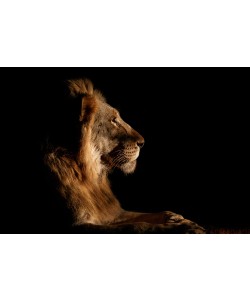 Andreas Hemb, Royal Meeting in the Night