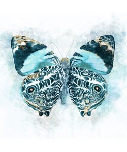Leda Robertson, Winged Beauty