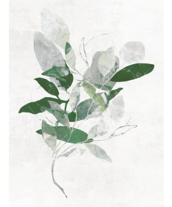 PI Studio, Emerald Botanics I