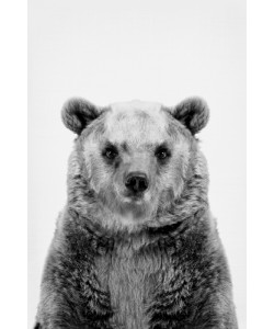 Sisi & Seb, Bear Stare