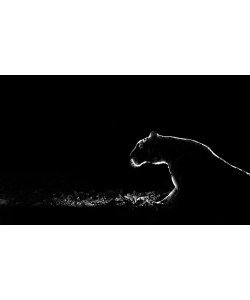 Tudor Amot, Untitled