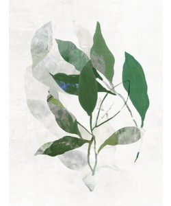PI Studio, Emerald Botanics II