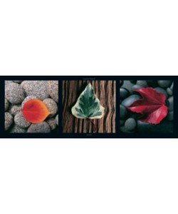 Laurent Pinsard, Leaves