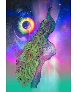 Karin Roberts, Cosmic Peacock