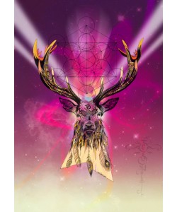 Karin Roberts, Cosmic Stag