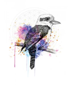 Karin Roberts, Kookaburra