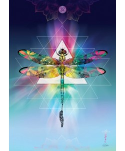 Karin Roberts, Cosmic Dragonfly