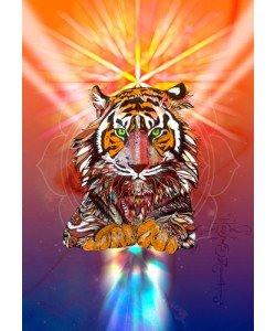 Karin Roberts, Cosmic Tiger