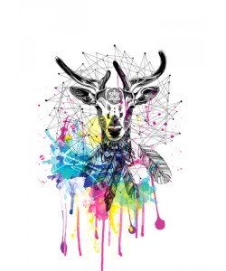 Karin Roberts, Deer