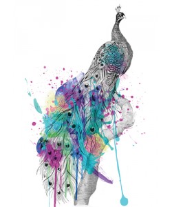 Karin Roberts, Peacock