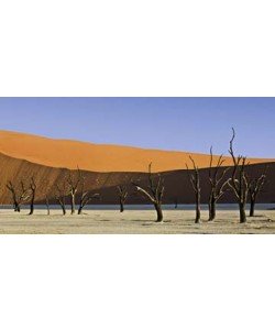 Rainer Mirau, Dead Vlei